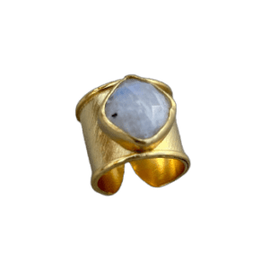 ANILLO FLORENCIA